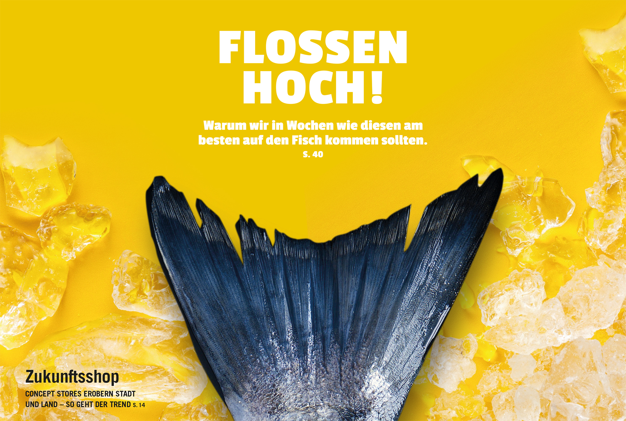 frisch Magazin Ausgabe 6/16
